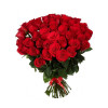 51 red rose Roses