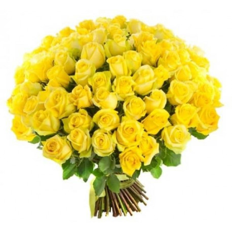 101 yellow rose Roses