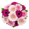 Flower bouquet - Gerbera Flower bouquets