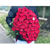 101 red rose Roses