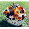Flower basket - Gerbera Flowers baskets