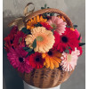 Flower basket - Colorful Flowers baskets