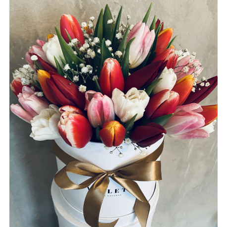 Flower Box ar tulpēm