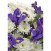Flower Basket - Bright one Flowers baskets