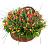 Flower Basket - Tulips Flowers baskets