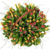 Flower Basket - Tulips Flowers baskets