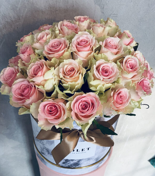 Flower Box ar rozā rozēm Ziedu kastītes