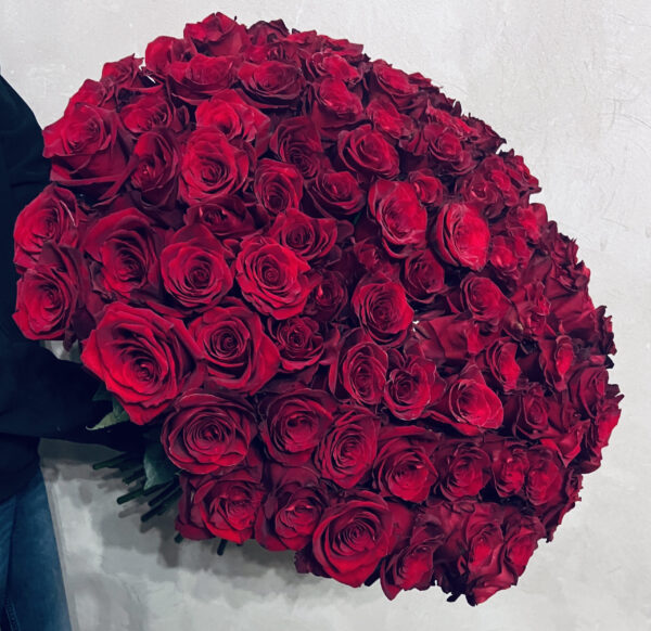 101 sarkana roze Rozes