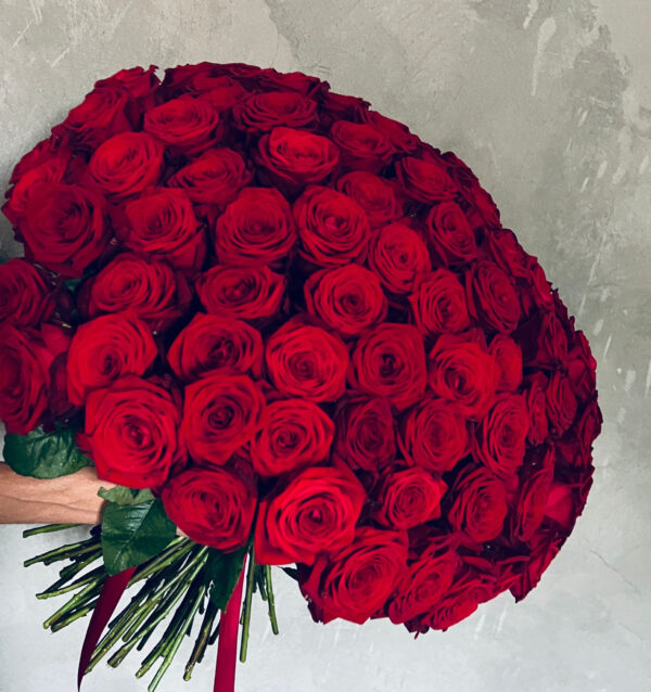 101 sarkana roze Rozes