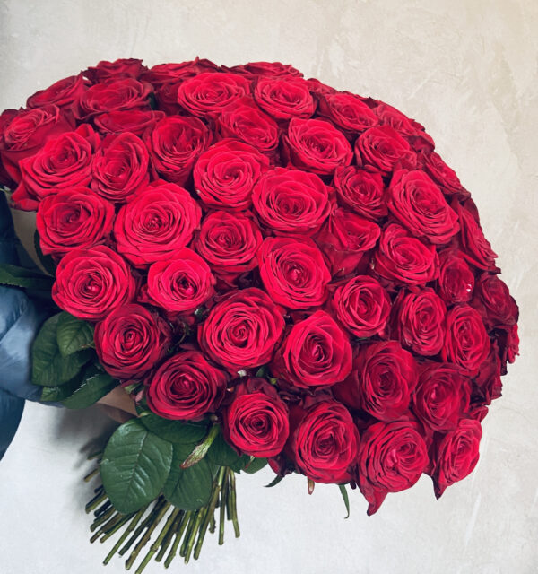 101 sarkana roze Rozes