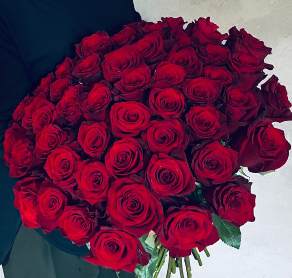 51 sarkana roze Rozes