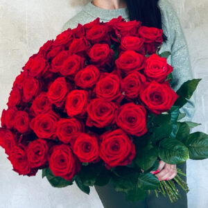 51 sarkana roze Rozes