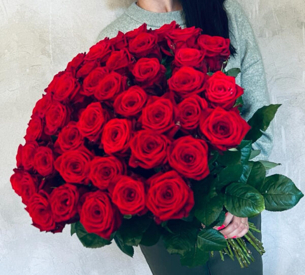 51 sarkana roze Rozes