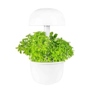 Plantui 3e Smart Garden ierīce Gudrais dārzs