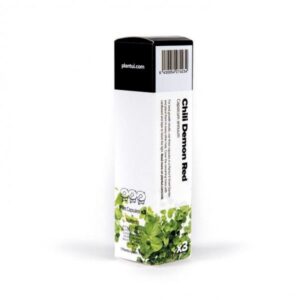 Sarkanie dēmona čilī - Plantui kapsulas Gudrais dārzs
