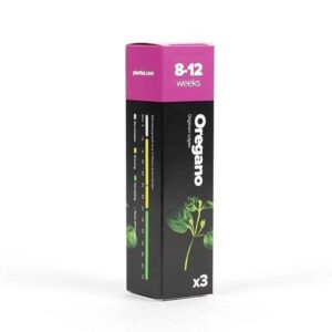 Oregāno - Plantui kapsulas Gudrais dārzs