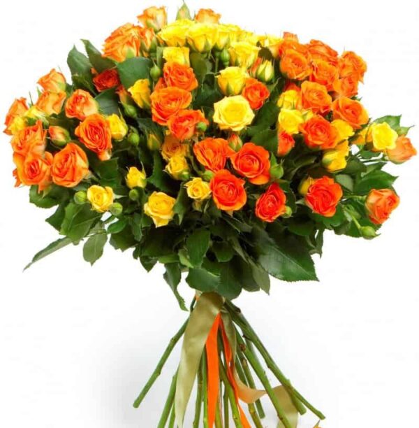 Oranži dzeltenas krūmrozes Rozes