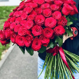 101 sarkana roze Rozes