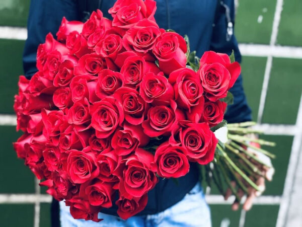 51 sarkana roze Rozes