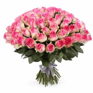101 rozā roze Rozes