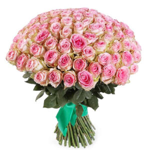 51 rozā roze Rozes