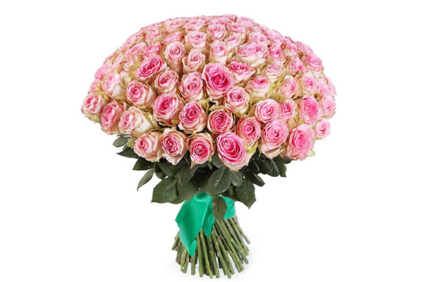 51 rozā roze Rozes