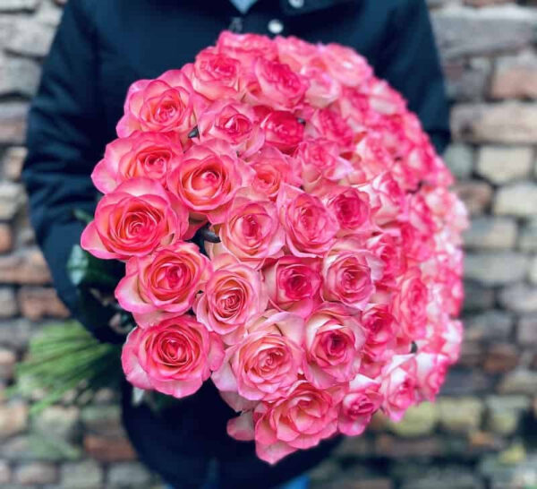 51 rozā roze Rozes