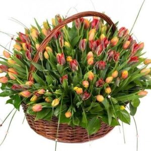 Ziedu grozs - Tulpes Ziedu grozi
