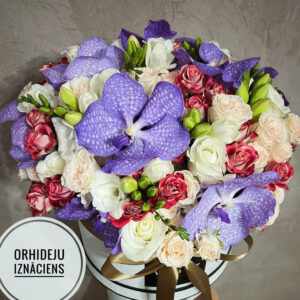 Flower box - Zilās debesis Ziedu kastītes