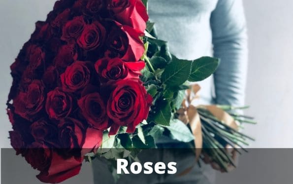 Roses