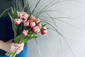 Tulpes - audzēšana, šķirnes un tulpju klasifikācija