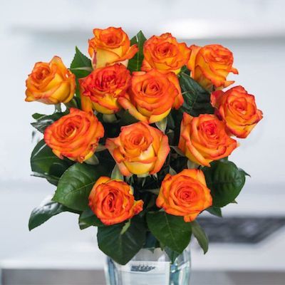 Oraņžas krāsas rozes